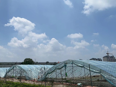 恩拓博高速增氧機(jī)上海使用案例！